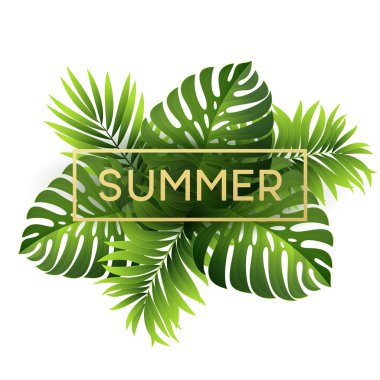 Tropikal monstera tasarım metni kartı için bırakır. Vektör çizim