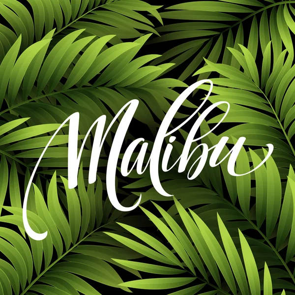 Malibu Califórnia caligrafia letras no fundo tropical folha de palma. Ilustração vetorial — Vetor de Stock