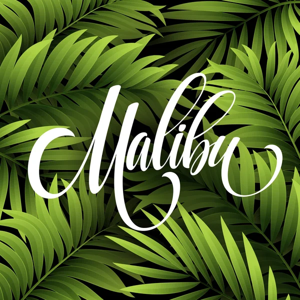 Malibu California pisma napis na tle tropikalny liść palmy. Ilustracja wektorowa — Wektor stockowy