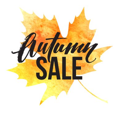 Sonbahar yaprakları. Sulu Boya doku. Sonbahar yaprak. Satılık tasarım yazı. Vektör çizim