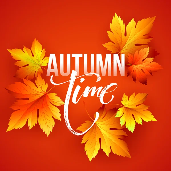 Autumn time seasonal banner design. Fall leaf. Vector illustration — Stock Vector