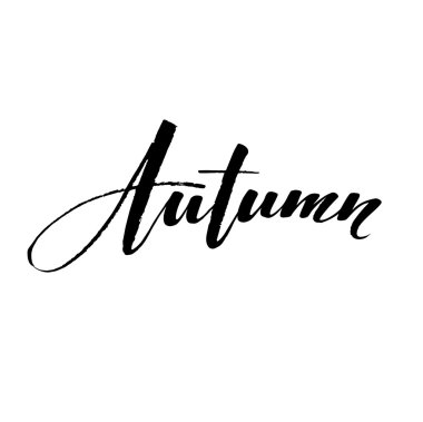 Güz Modern kaligraf kartı. Elle çizilmiş yazı tasarımı. Mürekkep illüstrasyon. Sonbahar posteri. Vektör çizimi