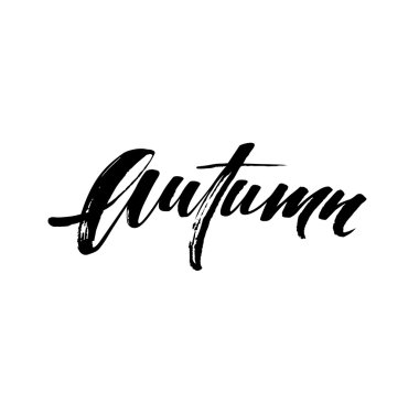 Güz Modern kaligraf kartı. Elle çizilmiş yazı tasarımı. Mürekkep illüstrasyon. Sonbahar posteri. Vektör çizimi