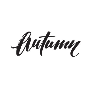 Güz Modern kaligraf kartı. Elle çizilmiş yazı tasarımı. Mürekkep illüstrasyon. Sonbahar posteri. Vektör çizimi