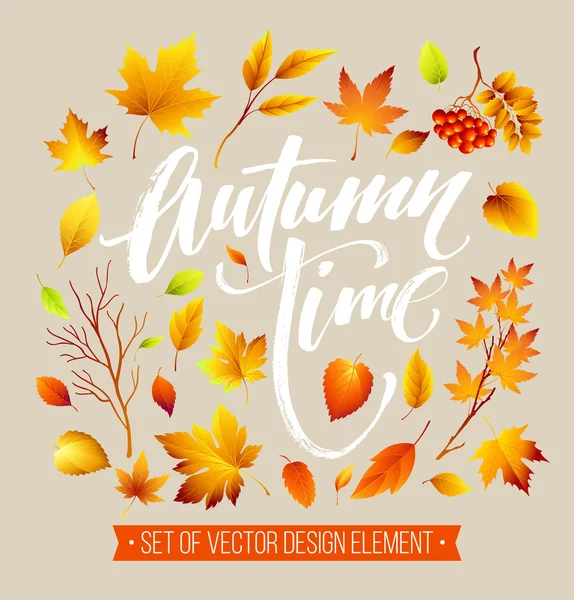 Color hojas de otoño sobre fondo blanco. Hoja de otoño. Ilustración vectorial — Vector de stock