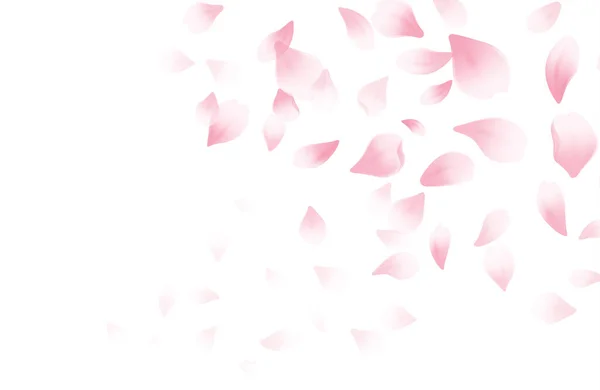 Fondo hermoso de primavera con flores de cerezo en flor de primavera. Sakura pétalos voladores aislados sobre fondo blanco. Ilustración vectorial — Archivo Imágenes Vectoriales