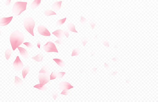Fondo hermoso de primavera con flores de cerezo en flor de primavera. Sakura pétalos voladores aislados sobre fondo blanco. Ilustración vectorial — Vector de stock