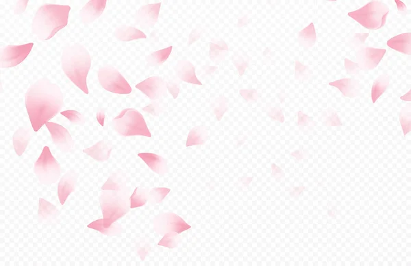 Printemps beau fond avec floraison printanière fleurs de cerisier. Sakura pétales volants isolés sur fond blanc. Illustration vectorielle — Image vectorielle