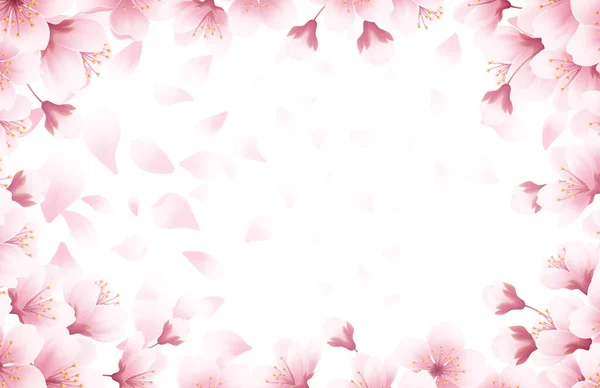 Fondo hermoso de primavera con flores de cerezo en flor de primavera. Sakura pétalos voladores aislados sobre fondo blanco. Ilustración vectorial — Vector de stock