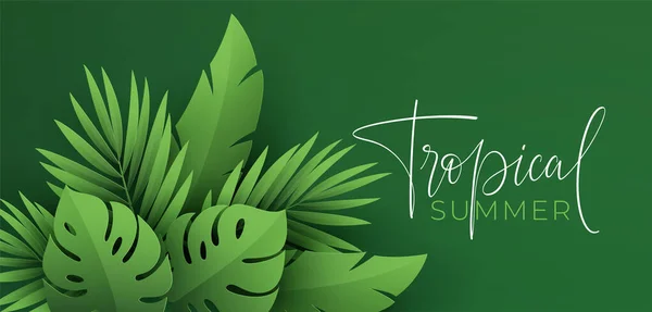 Olá Summer Banner. Folhas tropicais verdes cortadas em papel de palmeira, monstera. Fundo de verão com folha de planta tropical. Ilustração vetorial —  Vetores de Stock