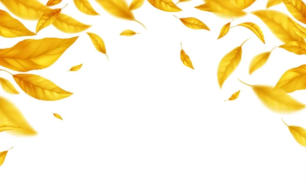 Caída volando hojas de otoño de fondo. Hoja amarilla otoñal realista aislada sobre fondo blanco. Fondo de venta de otoño. Ilustración vectorial — Vector de stock