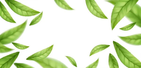 Folhas de chá verde voador realista caindo isolado no fundo branco. Fundo com folhas verdes voadoras da mola. Ilustração vetorial — Vetor de Stock