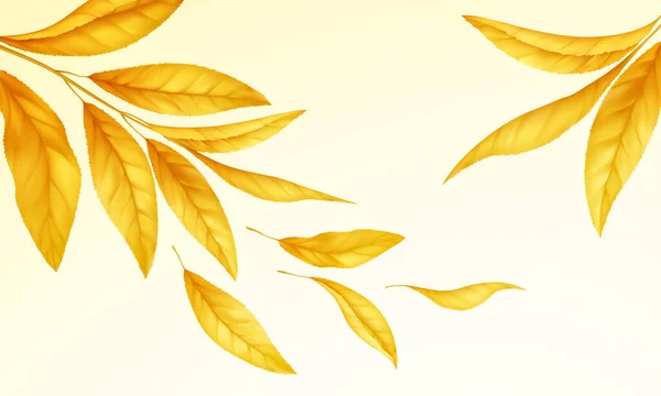 Tombé automne volant feuilles fond. Feuille réaliste jaune automne isolée sur fond blanc. Contexte de vente d'automne. Illustration vectorielle — Image vectorielle