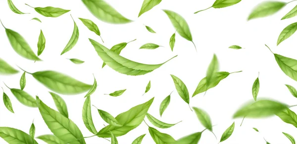 Hojas de té verde que vuelan realistas aisladas sobre fondo blanco. Fondo con hojas verdes voladoras de primavera. Ilustración vectorial — Archivo Imágenes Vectoriales