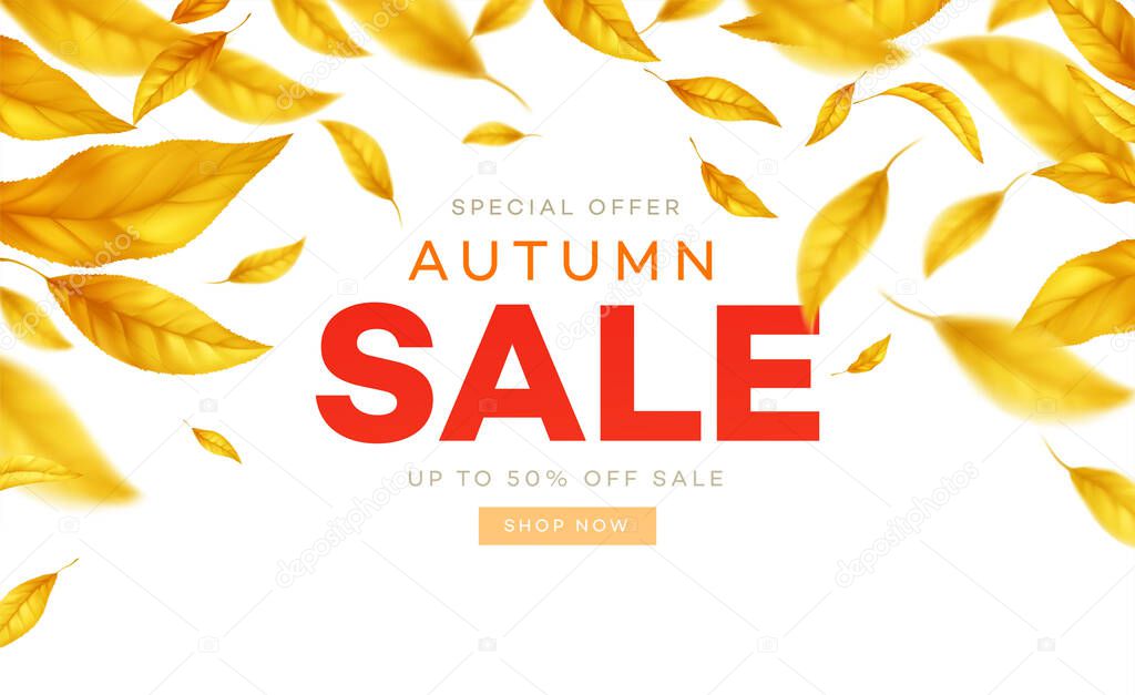 Background for the autumn season of discounts. Fall sale background with flying yellow and orange autumn leaves. Vector illustration