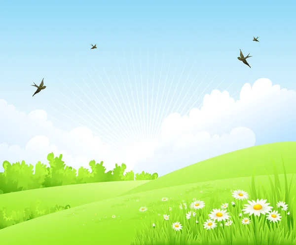 Spring amazing scenery — Stock Vector