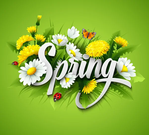Spring Vector Art Stock Images Depositphotos