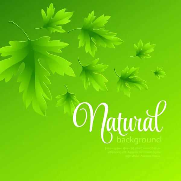 Natural vector background with green spring leaves — Stock Vector