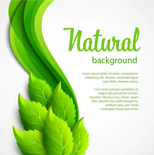 Natural vector background with green spring leaves — Stock Vector