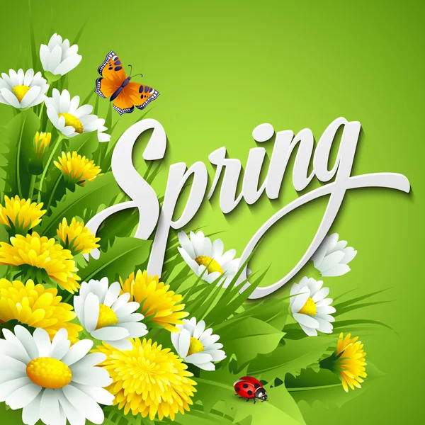 Färsk våren bakgrund med maskrosor och prästkragar — Stock vektor