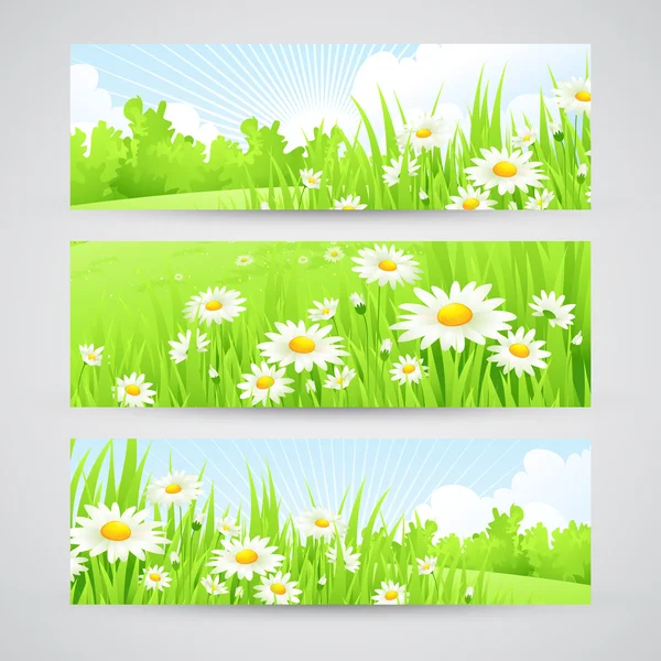 Escenario increíble de primavera limpia. Ilustración vectorial — Vector de stock