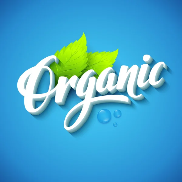 Realistic organic logo — Stock Vector