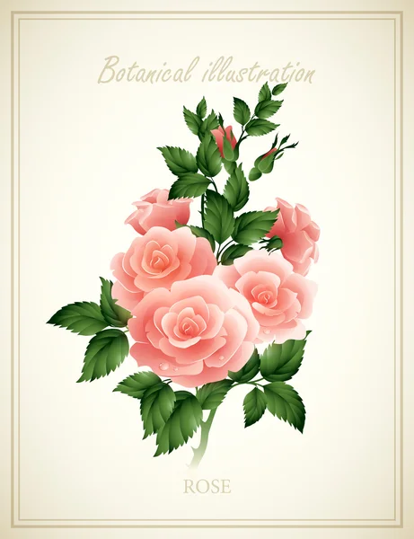 Flor vector ilustración — Archivo Imágenes Vectoriales