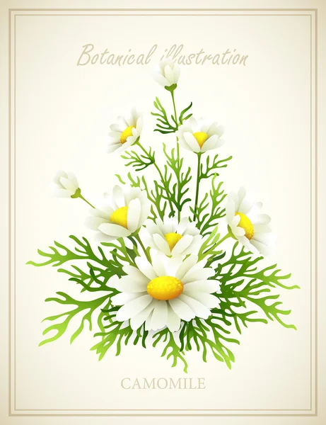Flor vector ilustración — Archivo Imágenes Vectoriales