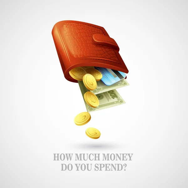 Väska med pengar, kreditkort och mynt. Vektor illustration — Stock vektor