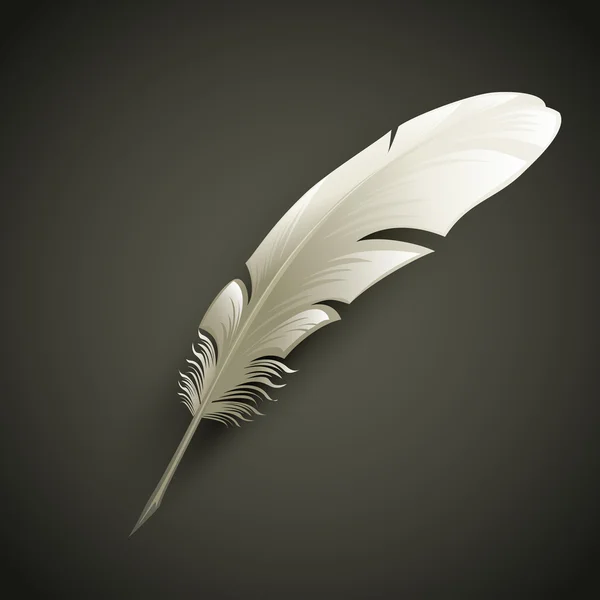 Feather. Vector illustration — Stock Vector