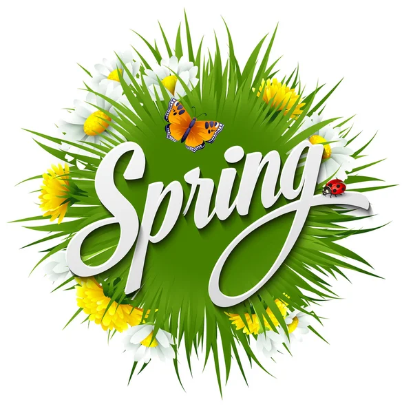Latar belakang musim semi segar dengan dandelion dan aster - Stok Vektor