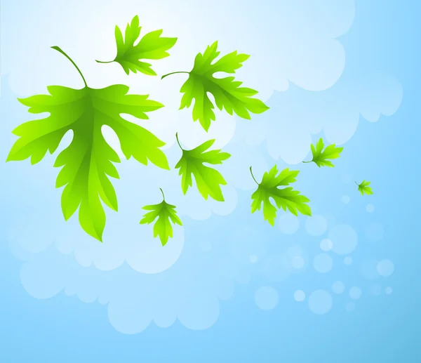 Folhas verdes frescas da primavera. Ilustração vetorial — Vetor de Stock