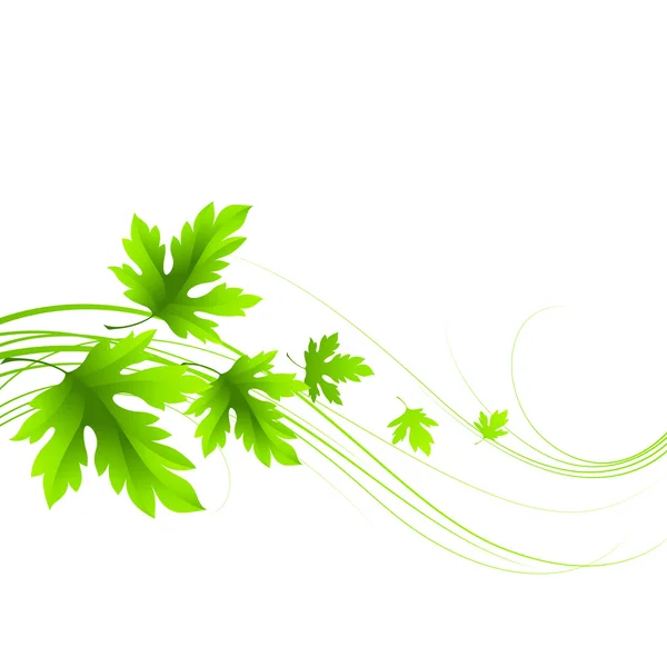Primavera foglie verdi fresche. Illustrazione vettoriale — Vettoriale Stock