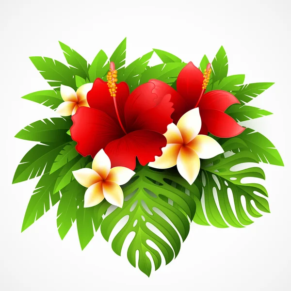Imagens vetoriais Flores havaianas | Depositphotos