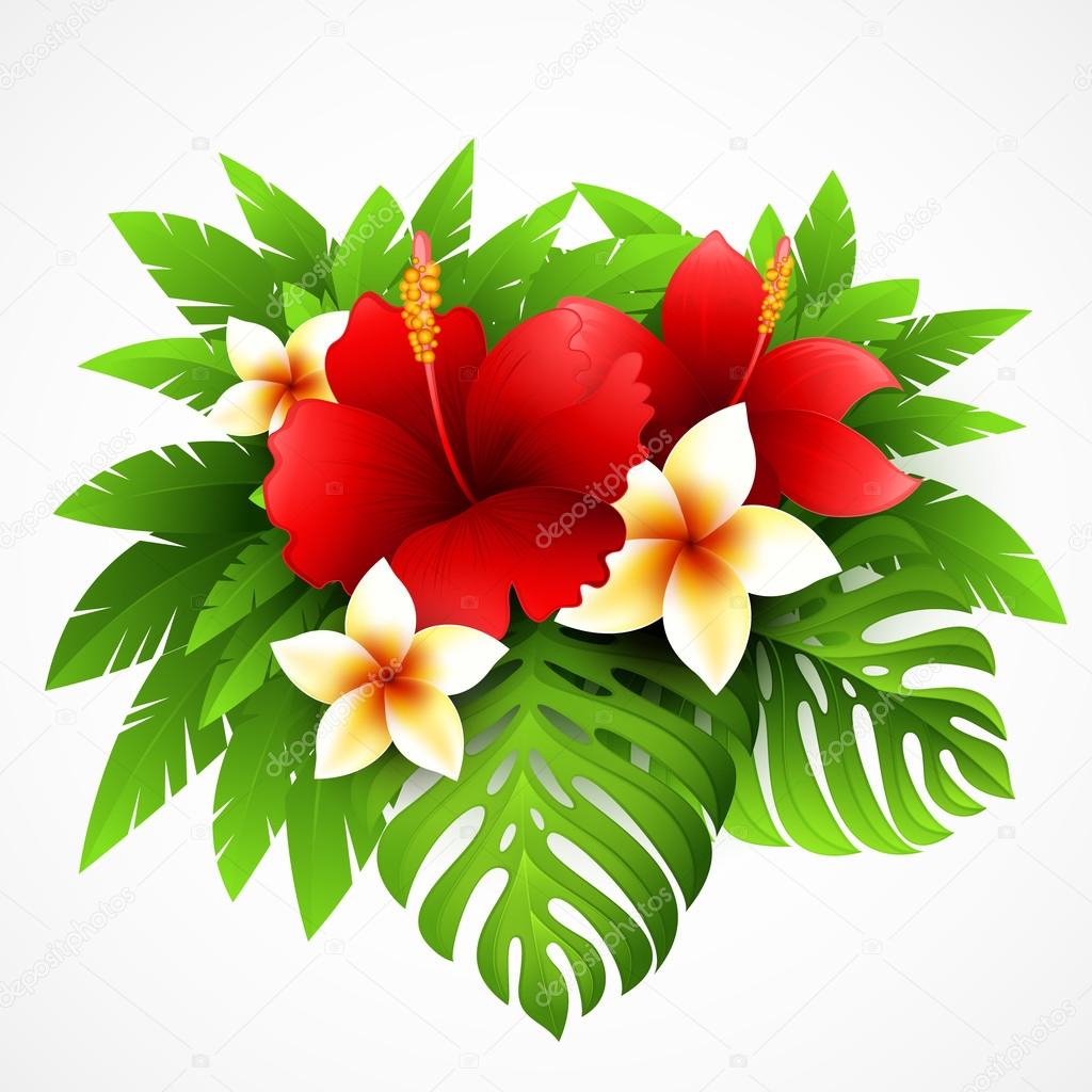 Tropical plants and flowers Stock Vector by ©Vik_Y 70672589, image size:1024x1024