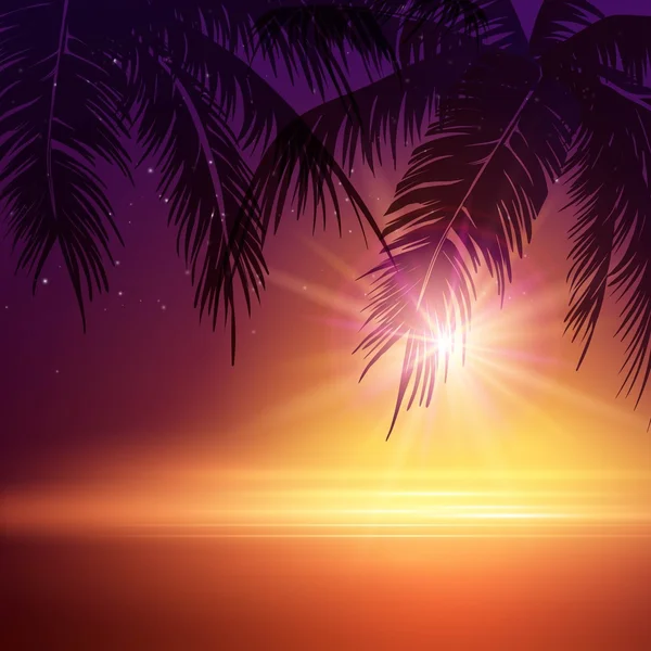 Zomeravond. palmbomen in de nacht. vectorillustratie — Stockvector