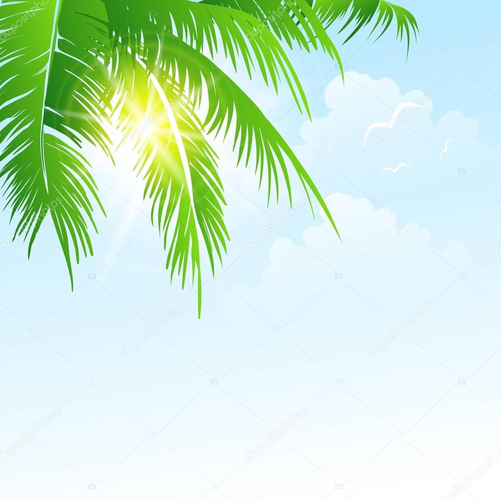 Summer holidays vector background  with palm leaves and sea