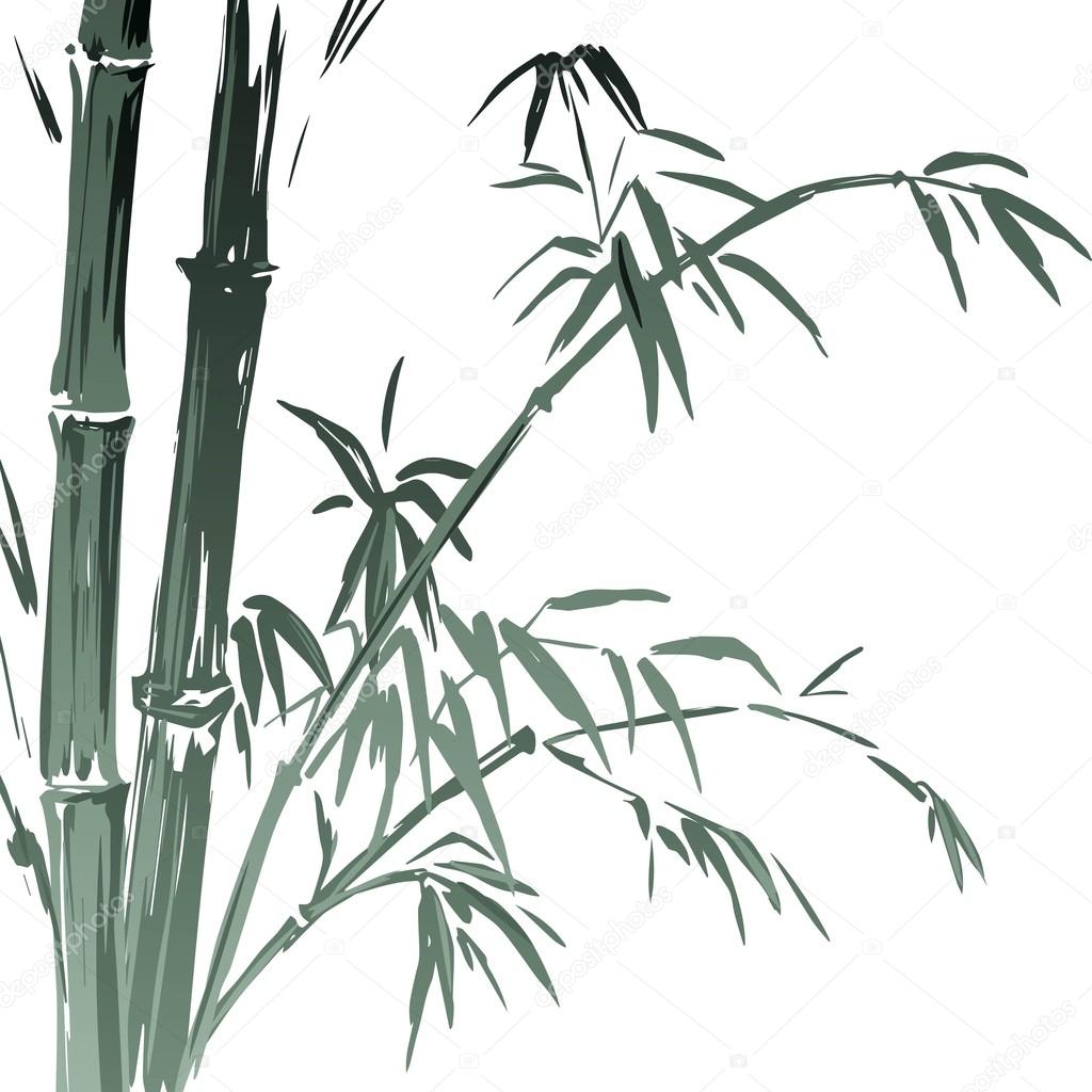 Watercolor Bamboo branches isolated on the white background. Vector illustration