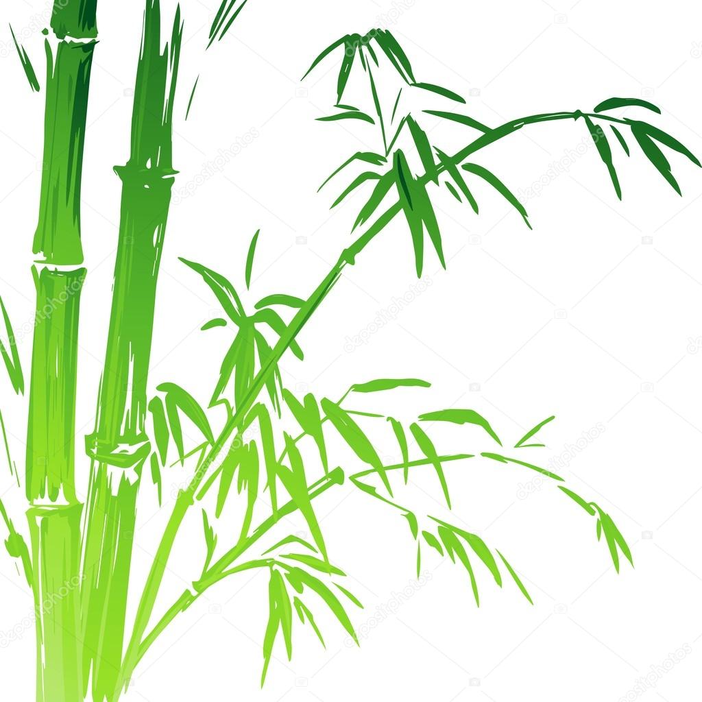 Watercolor Bamboo branches isolated on the white background. Vector illustration