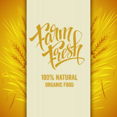 Wheat ears icon. Ears of Wheat. . Vector illustration