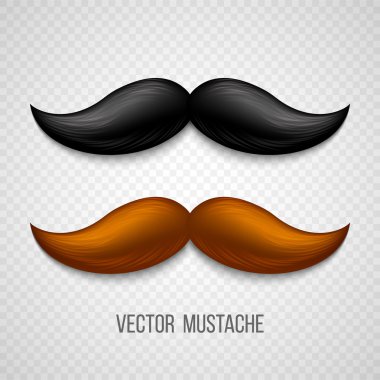 Brown, black  isolated mustaches set. Vector illustration