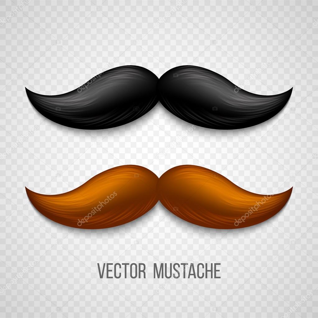 Brown, black  isolated mustaches set. Vector illustration