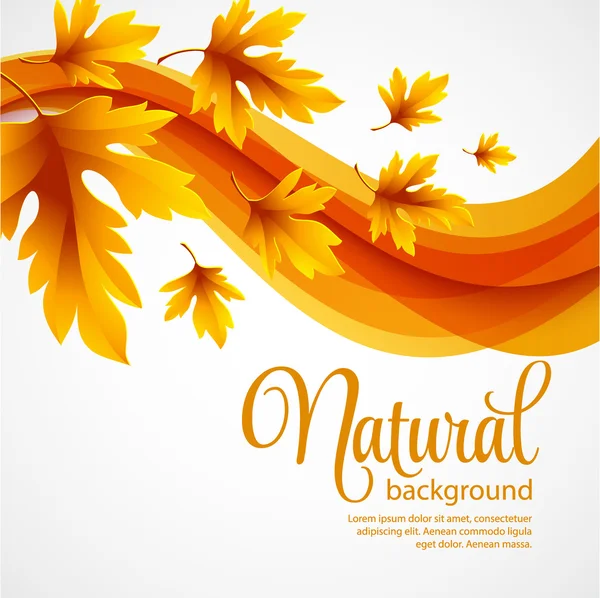 Herfst bladeren achtergrond. vectorillustratie — Stockvector
