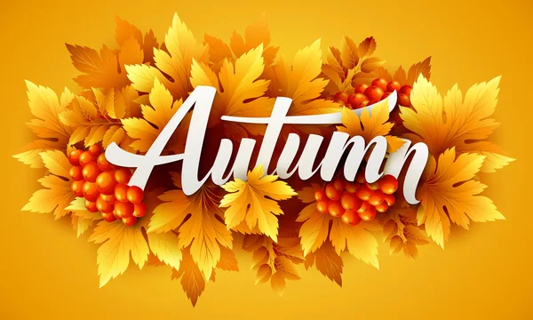 Typographie d'automne. Feuille d'automne. Illustration vectorielle — Image vectorielle