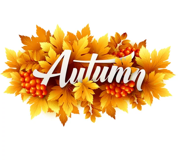 Typographie d'automne. Feuille d'automne. Illustration vectorielle — Image vectorielle