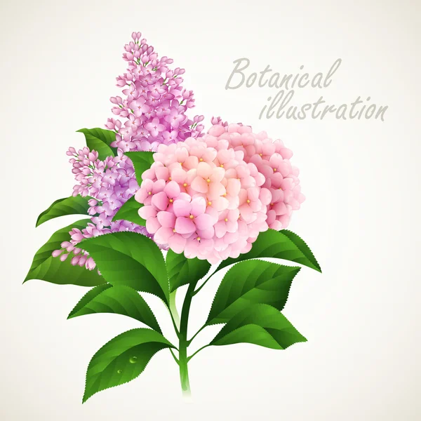 Ilustracja wektorowa botaniczny. Wzór kwiatowy karty — Wektor stockowy