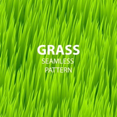 Yeşil çim seamless modeli. Vektör çizim