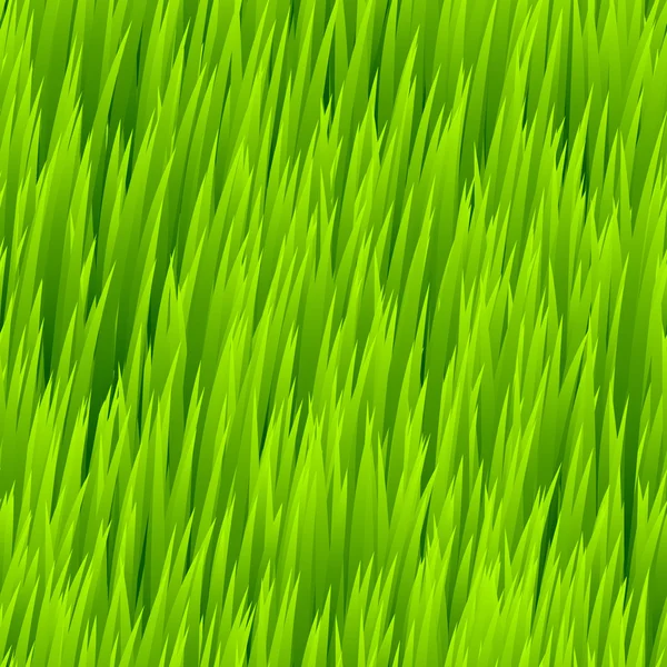 Herbe verte motif sans couture. Illustration vectorielle — Image vectorielle