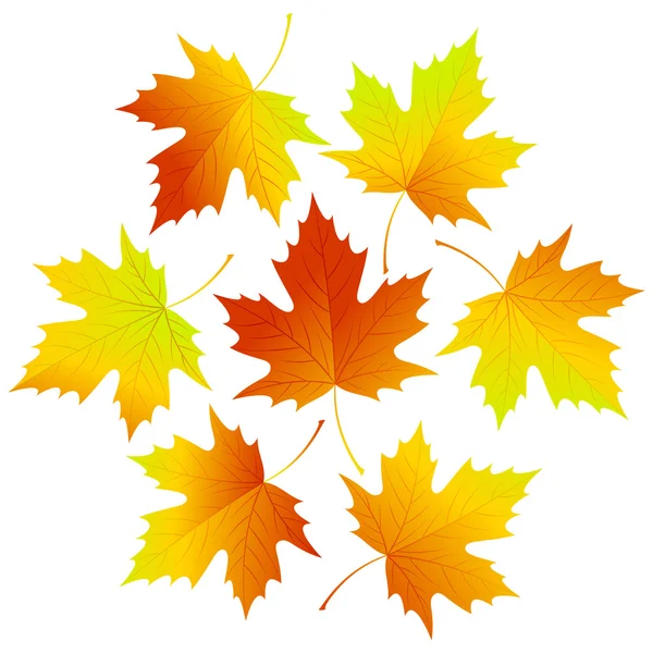 Set fall vector leaves for your design — Stock Vector