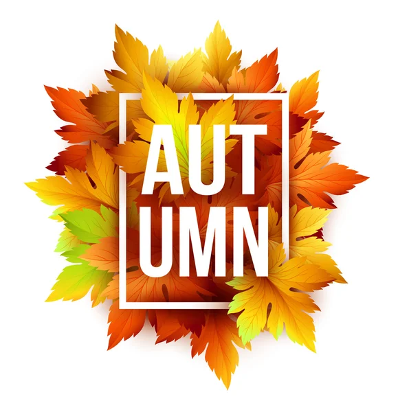 Autumn background with leaf and wood texture. Vector illustration — Stock Vector